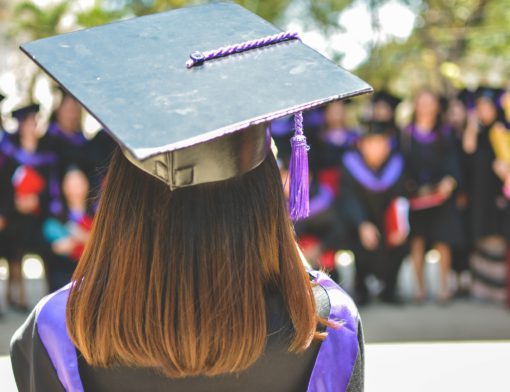 cursos de graduação 2024